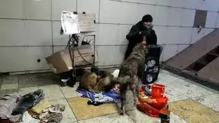 Всей братве России.Юра Елизаров