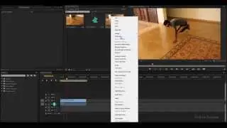 How To Change FPS In Premiere Pro CC [60fps to 24fps]
