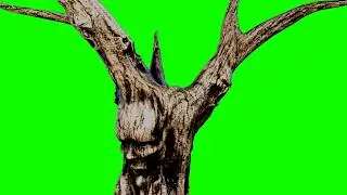 FREE HD Green Screen SCARY TREE