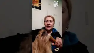 Мой Пёс Микки Силач🐩 Кушает Косточку