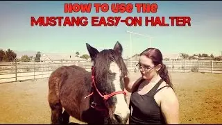 How to use the Easy on Mustang rope haler