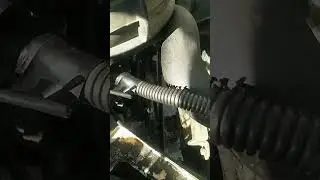 Новая любовь потекла!!!