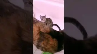 Когда в семье тебя понимают с полуслова