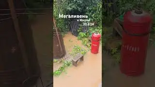 Мегаливень в Москве сегодня. Последствия. Частный дом.