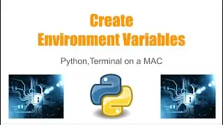 Python: Environment Variables