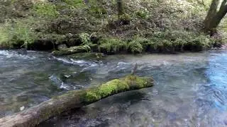 Hike to Greer Springs Missouri Ozarks