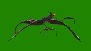 Free for VFX use #nocopyright #without_copyright #vfx_videos #use #free