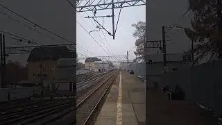 Высококоростной поезд "Сапсан" Сообщением Москва-Санкт-Петербург проследует по станции Подсолнечная