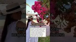 16 июля 2024 г.