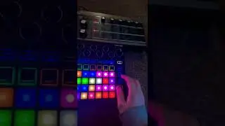 MicroKorg midi in by Novation Circuit