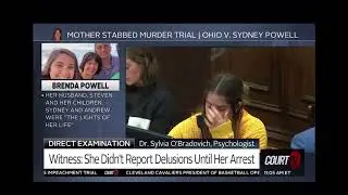 Ohio v. Sydney Powell (1) last day of Trial.