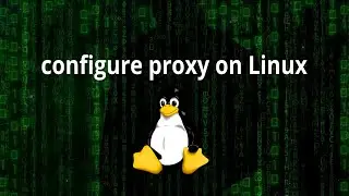 Configuración de Proxy HTTP/S en Linux desde la terminal | apt-get | apt | git