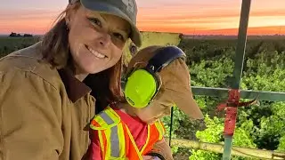 Grape Harvest 2024 has officially started!