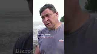 У Каховському водосховищі масово загинула риба 