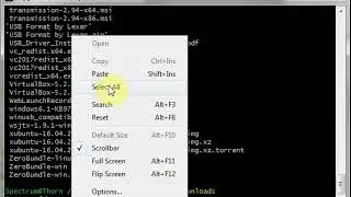 Extract and Run ZeroNet