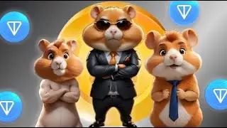 Hamster Kombat САМАЯ ВЫГОДНАЯ КАРТОЧКА