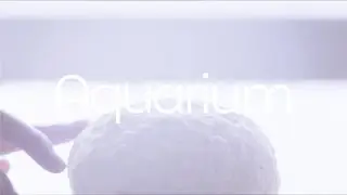 tricot「アクアリウム」Lyric Video (tricot - Aquarium)
