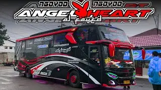 [[ FAST RABBIT ]] Ngoyod Artisya Wonosobo Al FAYED 