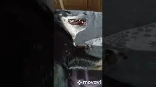 развлекаются мои девчонки 😂😂😂😂😂😂😂