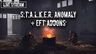🔥САМЫЙ ТОПОВЫЙ МОД НА STALKER🔥 | S.T.A.L.K.E.R.: Anomaly + EFT #10