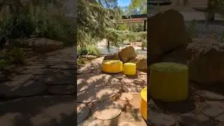Крым. Саки. Курортный парк. 