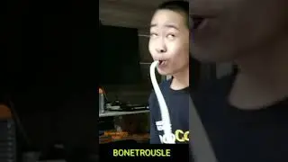 PAPYRUS-BONETROUSLE THEME.