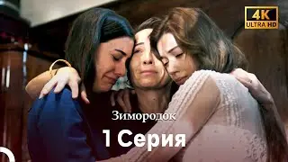Зимородок 1 Cерия (Русский дубляж) (4K)