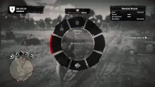 Red Dead Online LVL 100?!?!?!