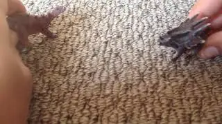 TRICE VS.SPIKE - Dinosaur Torment