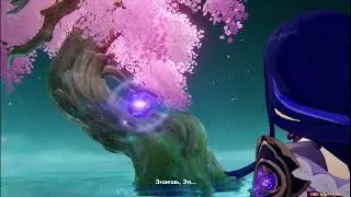 Священная сакура и прощание с Макото Genshin Impact