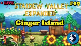 Exploring The Island - Cozy Stardew Valley Expanded Mod [19]
