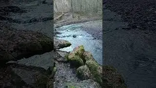 Jedovnický potok #shorts #relax #nature