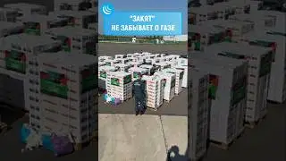 🇵🇸"ЗАКЯТ" НЕ ЗАБЫВАЕТ О ГАЗЕ🤲#мирадио #новости #думрф #фондзакят #palestine #gaza #islam #muslim
