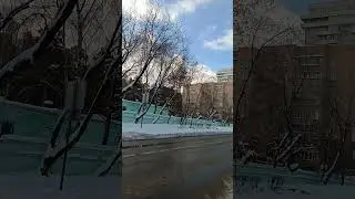 Центральный проезд, Ивантеевка