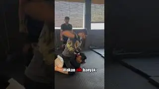 SIMULASI KAISAR KUMIS VS PALEKA⁉️