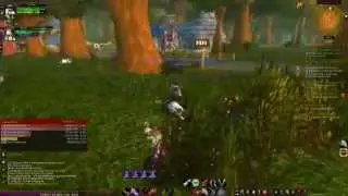 Taking Sir Downs on his afternoon walk with some new friends c: