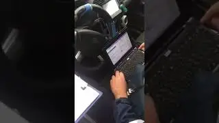 Офицеры? Идиоты? Кто служит в ГИБДД?