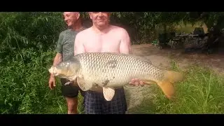 Сазан на пьяную кукурузу.  Хочу снова туда на рыбалку.  18+