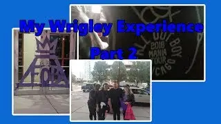 Fall Out Boy| My Wrigley Experience Part 2