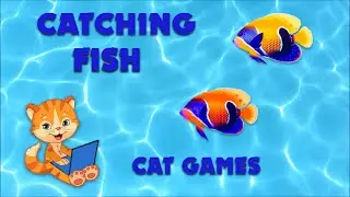 Colorful fish on screen. Entertainment game for cats