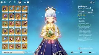 ayaka damage showcase