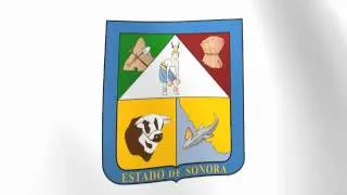 Flag of Sonora - Bandera de Sonora
