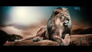 Mediagraphicspro.com- Show Reel AE-adobe After Effects CC 2020