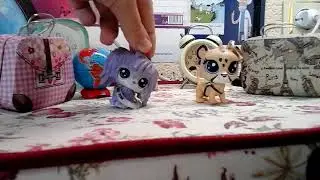 Типы не правельных лпс видео блогеров!