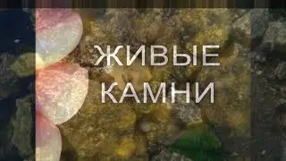 Двигающиеся  камни