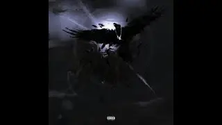800pts + Amir.pr0d + Omni Type Beat - 