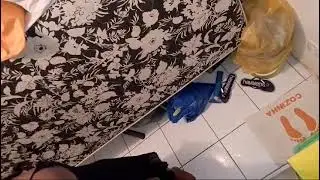 oie voutei