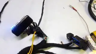 2jz gte vvti отключение иммо. Тест иммо.