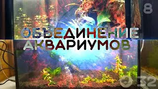 ОБЪЕДИНЕНИЕ АКВАРИУМОВ