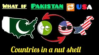 what if Pakistan 🔁USA|what if Pakistan and USA switch their places #usacountryball #countryball